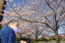 障害者支援施 ちづる園｜2023.04.26 春うらら